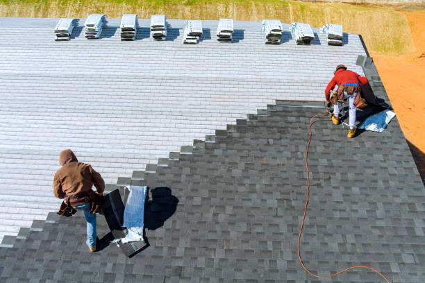 Best Roof Gutter Cleaning  in Columbia, IL