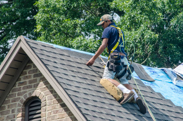 Residential Roof Replacement in Columbia, IL